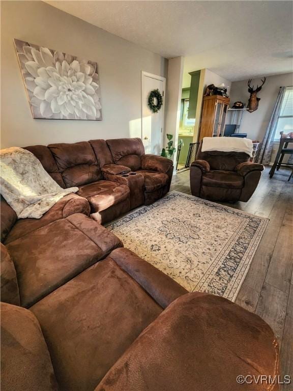 living room featuring hardwood / wood-style flooring