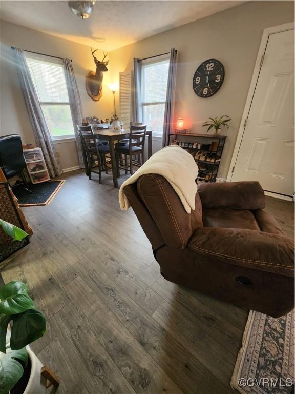 living room featuring wood-type flooring