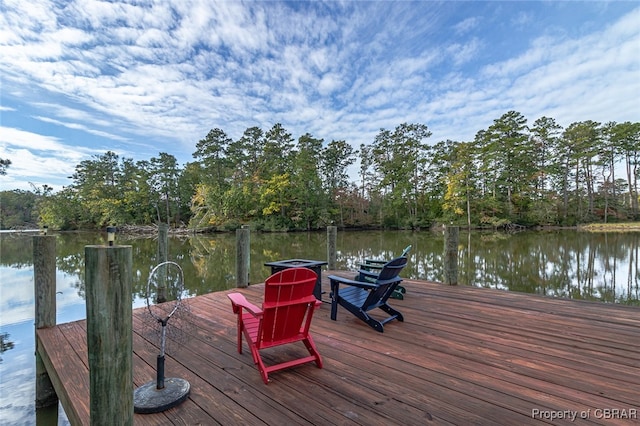 dock area with a water view