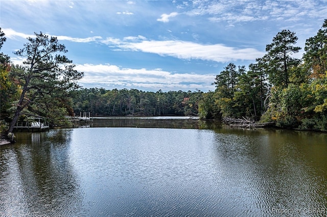 view of water feature