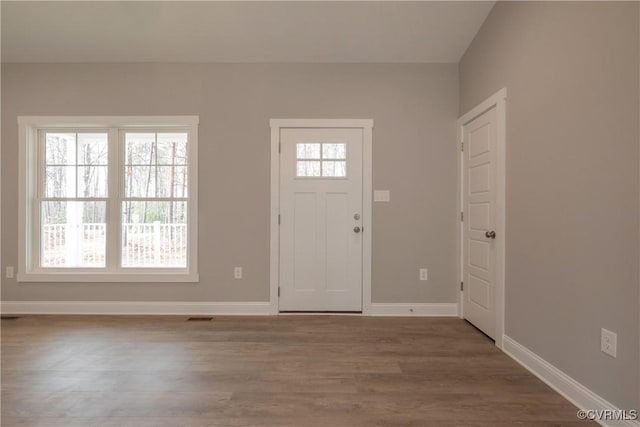 foyer featuring hardwood / wood-style flooring and plenty of natural light