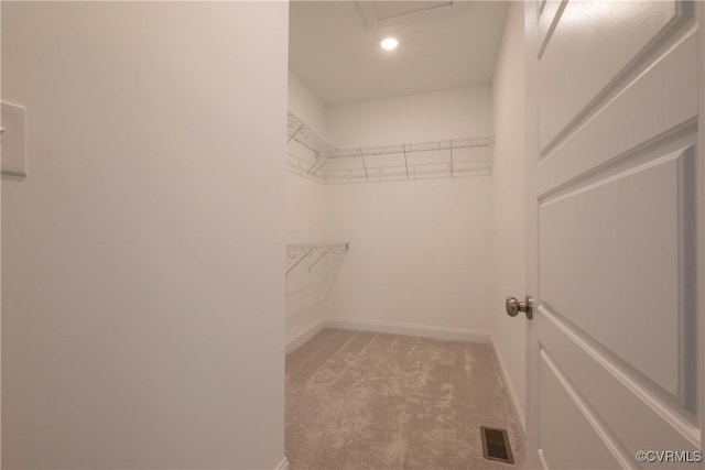 spacious closet featuring light carpet