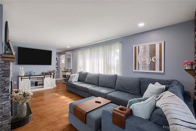 living room featuring wood-type flooring