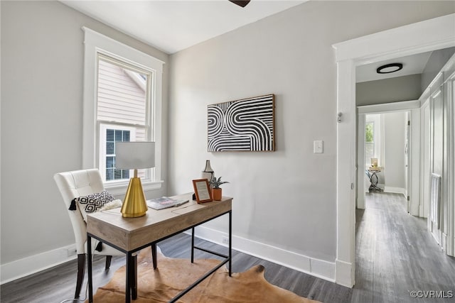 office area featuring dark hardwood / wood-style floors and a wealth of natural light