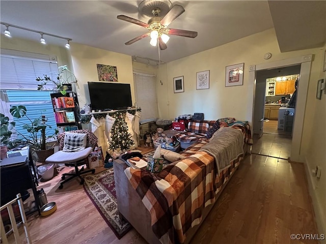 living room featuring ceiling fan and hardwood / wood-style flooring