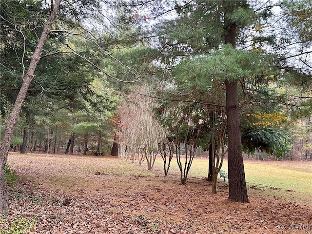500 Coalfield Rd, Midlothian, VA 23114 - view of local wilderness