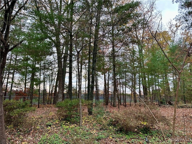 500 Coalfield Rd, Midlothian, VA 23114 - view of landscape