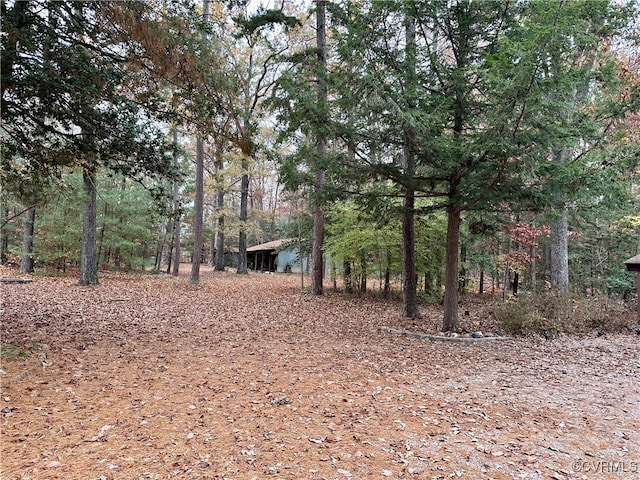500 Coalfield Rd, Midlothian, VA 23114 - view of local wilderness