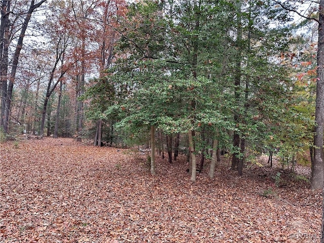 500 Coalfield Rd, Midlothian, VA 23114 - view of landscape