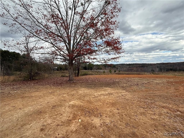 view of yard with a rural view