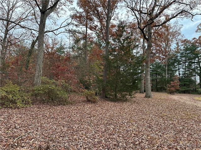 view of nature