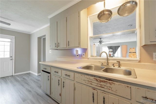 kitchen with white cabinetry, sink, ceiling fan, light hardwood / wood-style flooring, and ornamental molding