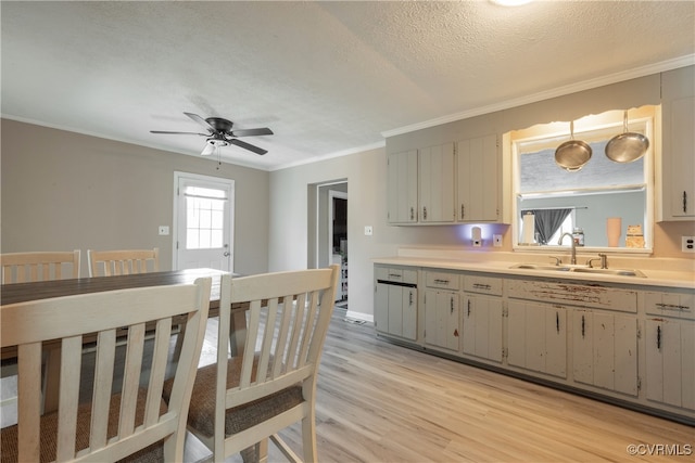 kitchen featuring sink, light hardwood / wood-style flooring, ceiling fan, ornamental molding, and a textured ceiling