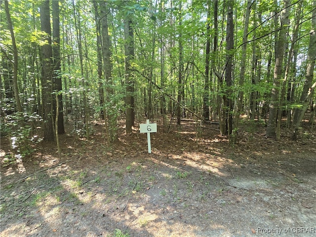 LOT6 Hallieford Rd, Cobbs Creek VA, 23035 land for sale