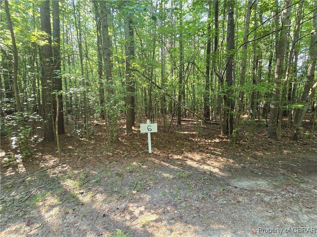 LOT6 Kayak Cove Rd, Cobbs Creek, VA 23035 - photo 1
