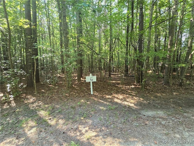 LOT6 Hallieford Rd, Cobbs Creek, VA 23035 - photo 1