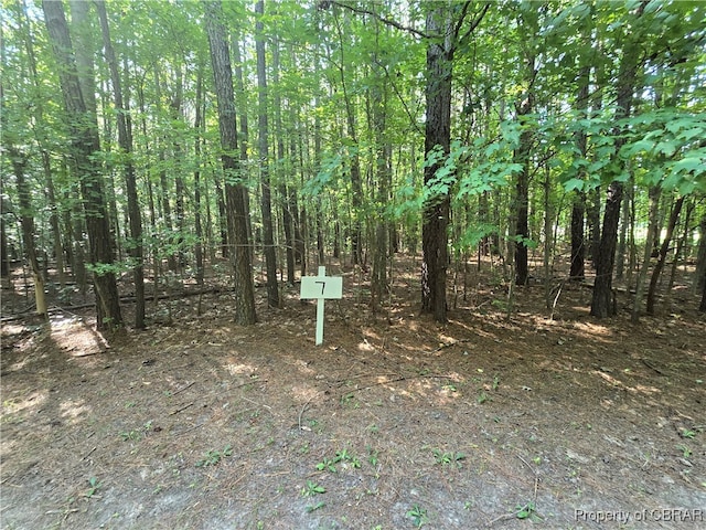 LOT7 Hallieford Rd, Cobbs Creek VA, 23035 land for sale