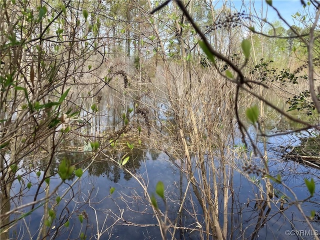 14310 Meadow Ln, Disputanta, VA 23842 - water view