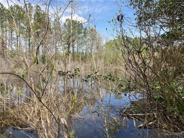14310 Meadow Ln, Disputanta, VA 23842 - water view