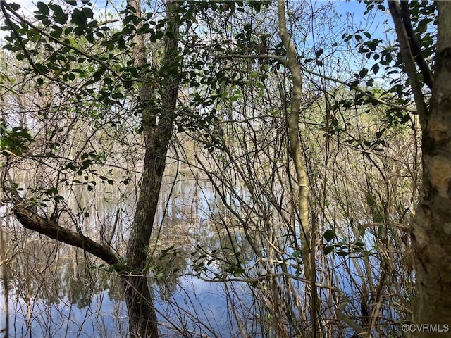 14310 Meadow Ln, Disputanta, VA 23842 - water view