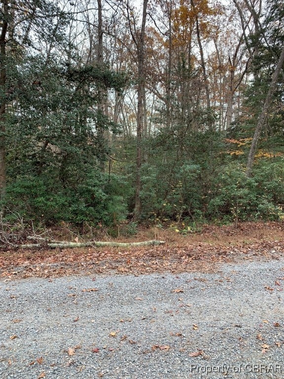 Listing photo 3 for LOT131 Lonesome Pine Trl, Lancaster VA 22503