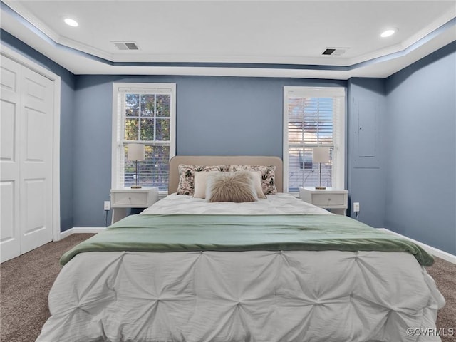 carpeted bedroom with a raised ceiling