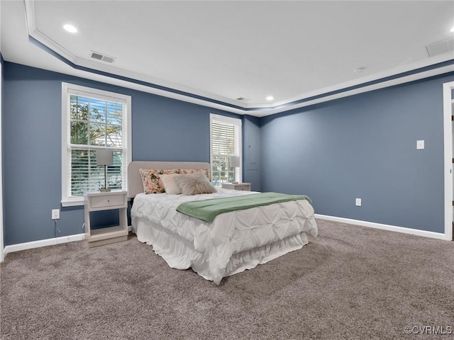 carpeted bedroom featuring a raised ceiling