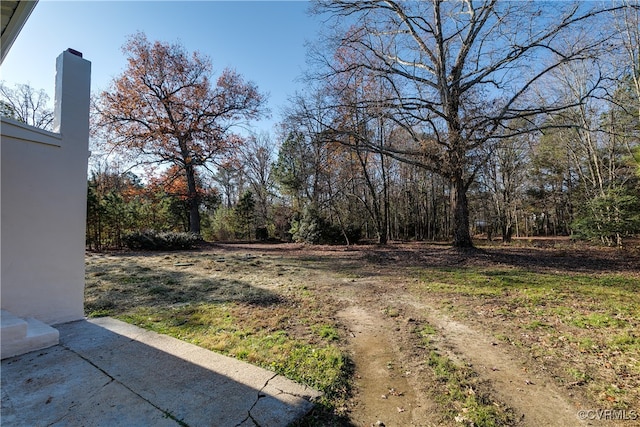 view of yard with a patio