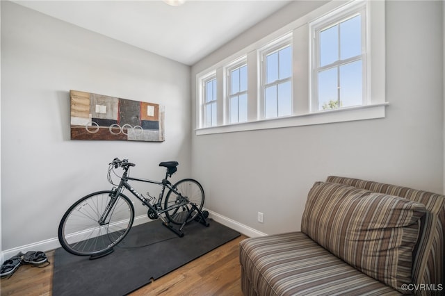 sitting room with wood-type flooring