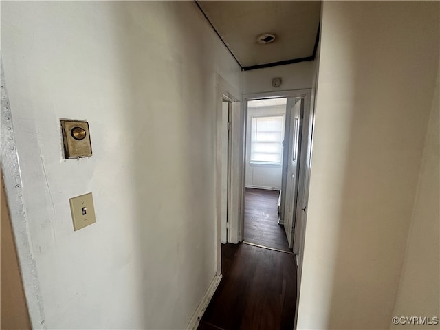 hall featuring dark hardwood / wood-style flooring