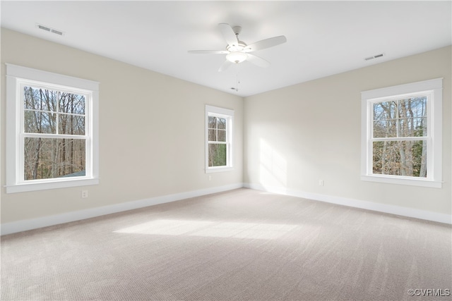 unfurnished room with carpet flooring and a healthy amount of sunlight