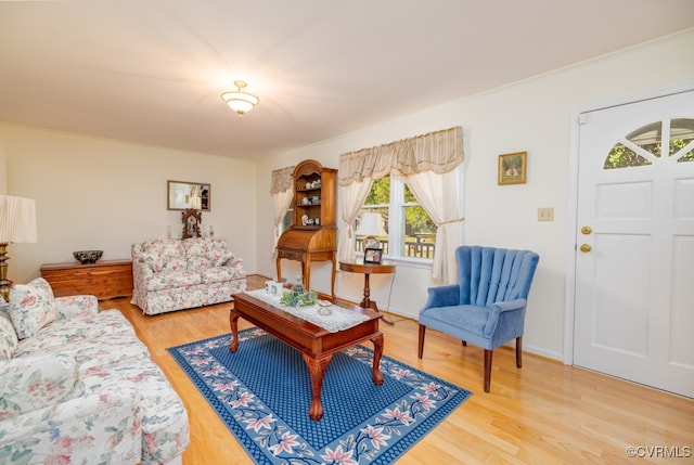 living room featuring wood-type flooring