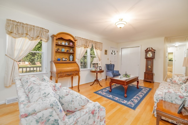 living room featuring hardwood / wood-style flooring