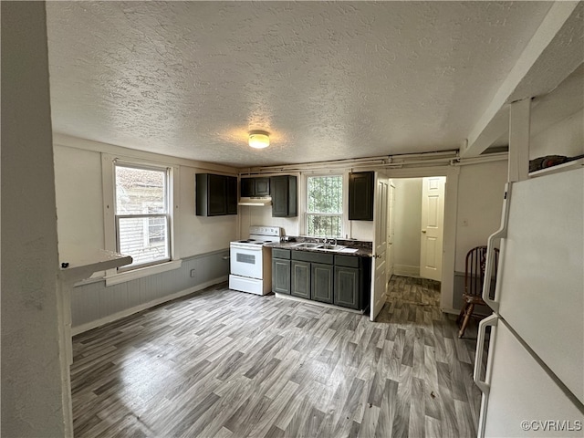 kitchen with plenty of natural light, light hardwood / wood-style floors, and white appliances