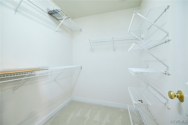 spacious closet featuring light colored carpet