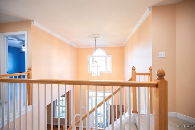 hall with carpet floors and crown molding