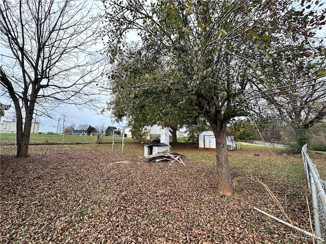 view of yard featuring a shed