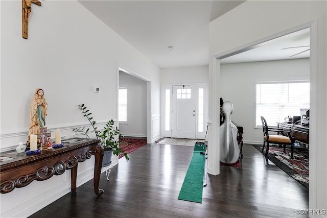 foyer entrance with dark hardwood / wood-style flooring