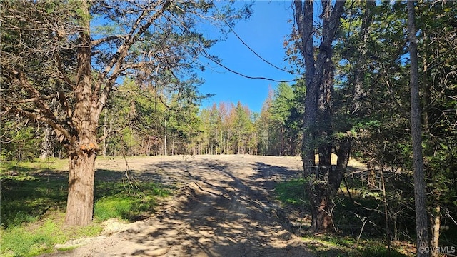 view of road with a forest view