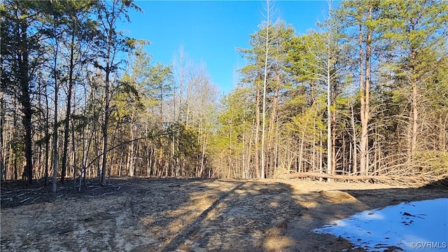 view of local wilderness featuring a view of trees