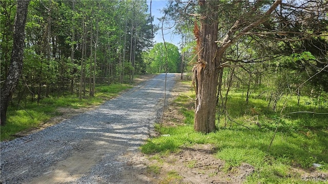 view of street featuring a forest view