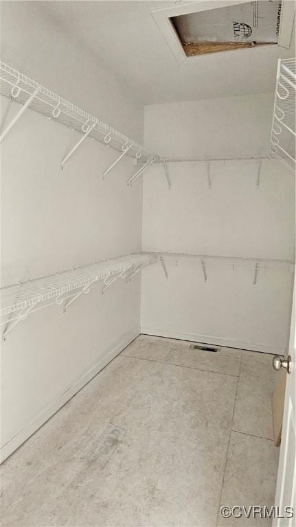 view of spacious closet