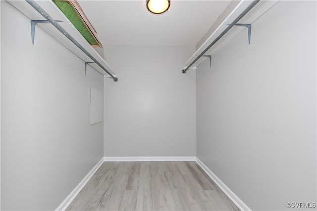 spacious closet featuring light wood-type flooring