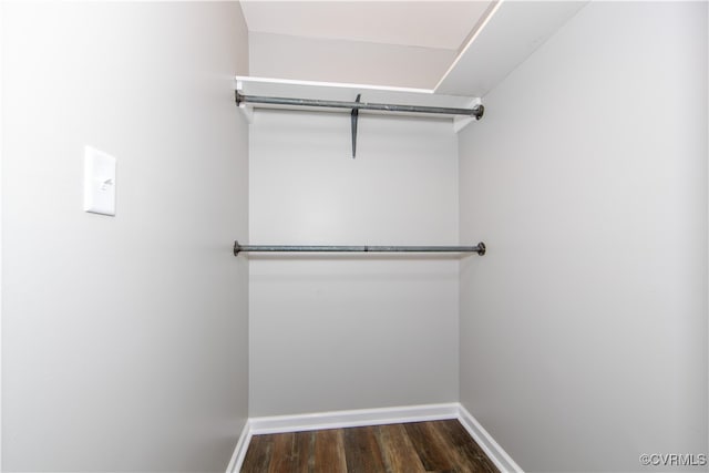 walk in closet with dark hardwood / wood-style floors