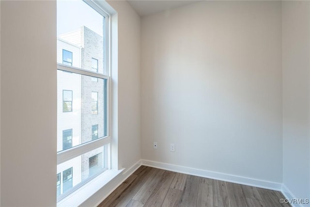 unfurnished room with a wealth of natural light and wood-type flooring