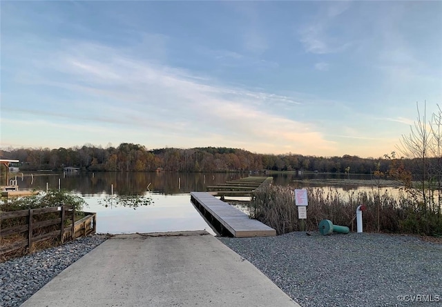 dock area with a water view