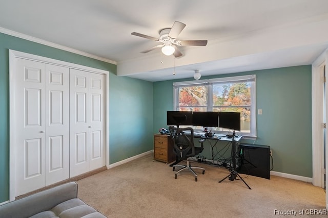 carpeted home office featuring ceiling fan and ornamental molding