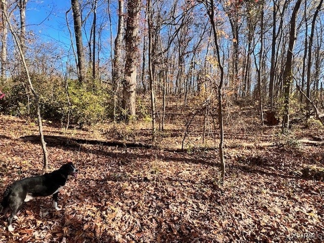 2812 River, Goochland VA, 23063 land for sale