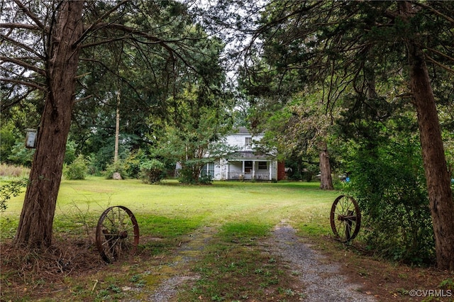 view of yard