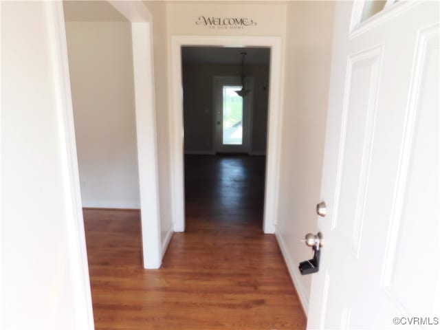 corridor featuring dark hardwood / wood-style flooring